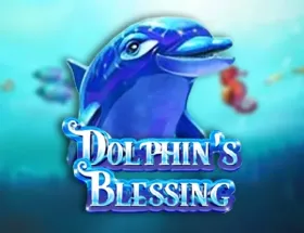 Dolphin s Blessing Barbara Bang